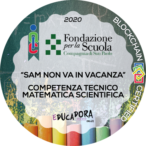 Competenza matematica e competenze di base in campo scientifico e tecnologico - Educadora